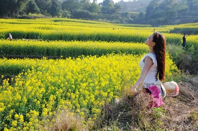 中国春天最美的七个地方，你最想去哪个？