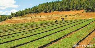 农民们注意了，这些都是骗局，有人已经受骗，还有人在上当