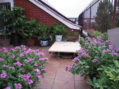 露台装成这样，一看就是个土豪，这样的露台谁不想要一个呢？