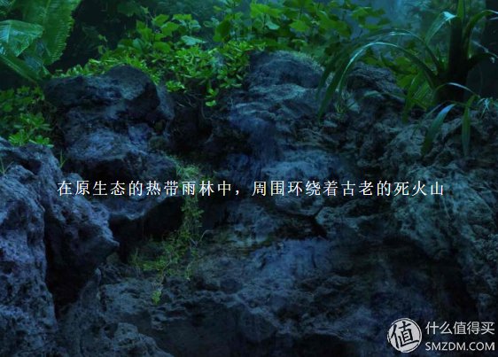 不止是冷泡茶和调酒!好水如何物尽其用?和撕葱一样精致生活，从一瓶斐济水开始