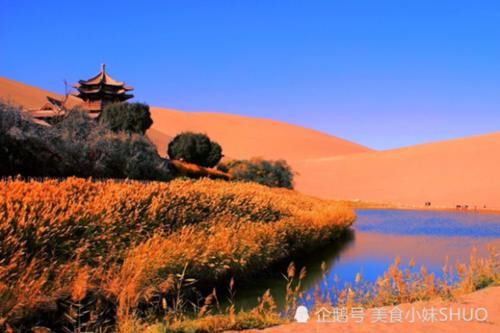  「抢救」中国沙漠第一泉早就徒有虚名，耗资上亿“抢救”，靠人