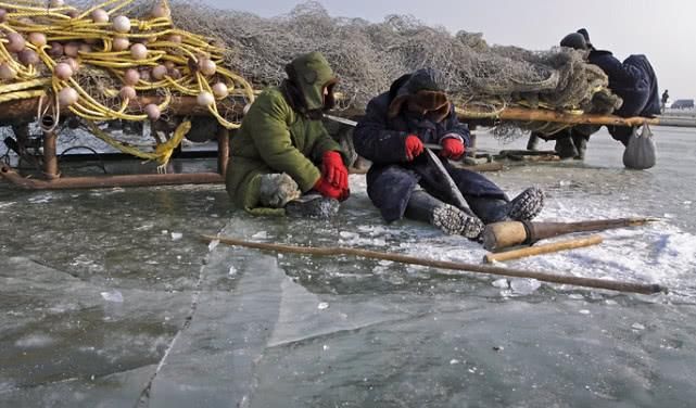 查干湖的鱼为何越捕越多？当地渔民道出真相：看看这些人干了什么