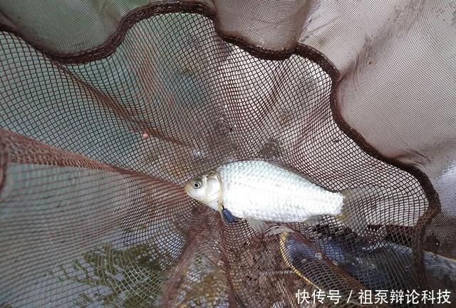 【情况下钓】春季垂钓:何时钓深?何时钓浅?看完这篇文章你就懂了