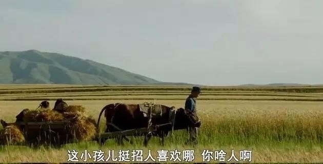 #吴先生#被票房打脸两次的国产“烂片”,治愈无数虚伪的成年人