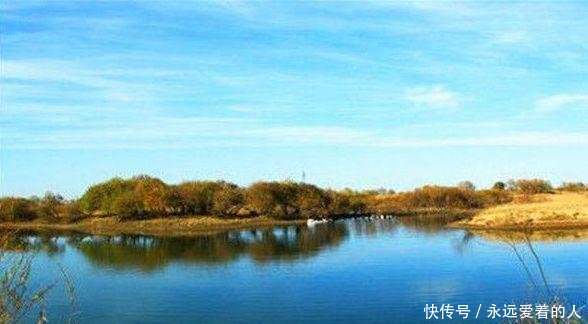  【别总】别总吐槽水里没鱼，不改掉3个抛竿“坏习惯”，鱼窝离你越来越远！