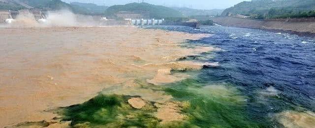 黄河水清了，为什么鱼虾反而少了？专家一席话让人心惊！