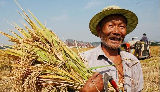  土地流转@给中国60岁以上农民每月发放1000元退休金，应该是个好