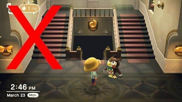  [游戏]动保组织盯上《动森》：不要在游戏里钓鱼，鱼也是会痛的！