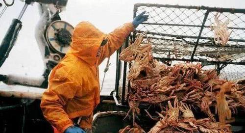 一年只上5天班年薪70万，但有生命危险你会去吗？