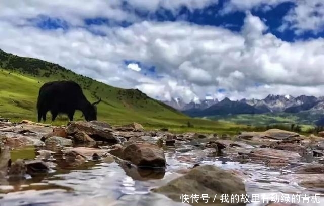 开园仅两天又关闭，四川一景区致歉