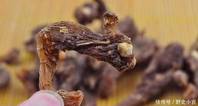  「农户」产地8元一斤，亩产4000斤，深山采挖一天赚300，农户为