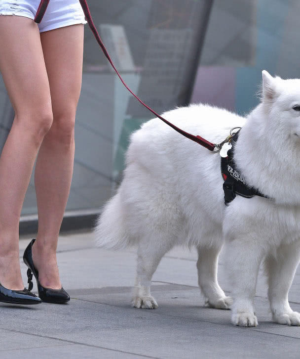 俏丽小姐姐街头遛狗，身材前凸后翘惹人爱，一双逆天大长腿很吸睛