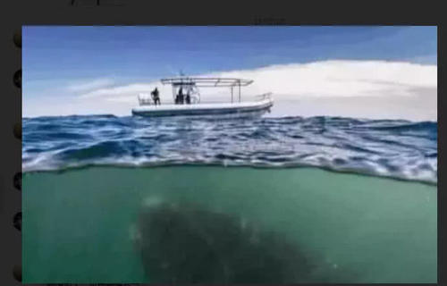 5张让人“全身发抖”的深海照片，借你十个胆，你敢看完吗？