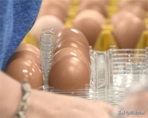 曾经嘲笑大陆吃不起茶叶蛋的台湾教授，如今能买第11个鸡蛋吗？