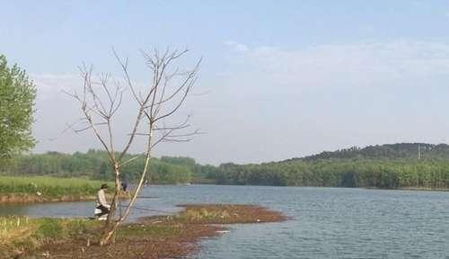 手竿钓鲤鱼，注意有4钓4不钓