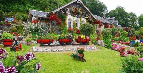 苏格兰一老人花16年时间，打造童话般花园，半夜经常听到拍照声