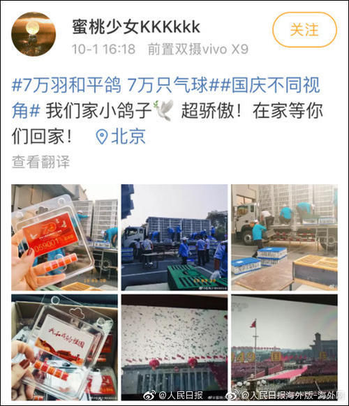  鸽子|国庆大会的7万和平鸽 原来是从市民家里借来的