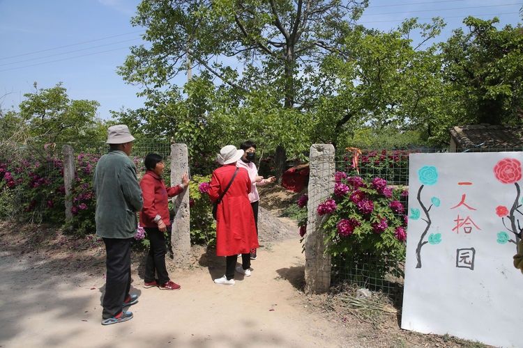  『欣赏牡丹花』71岁农民耗时40年家门口建牡丹园，1株镇园之宝10万不卖，啥样子