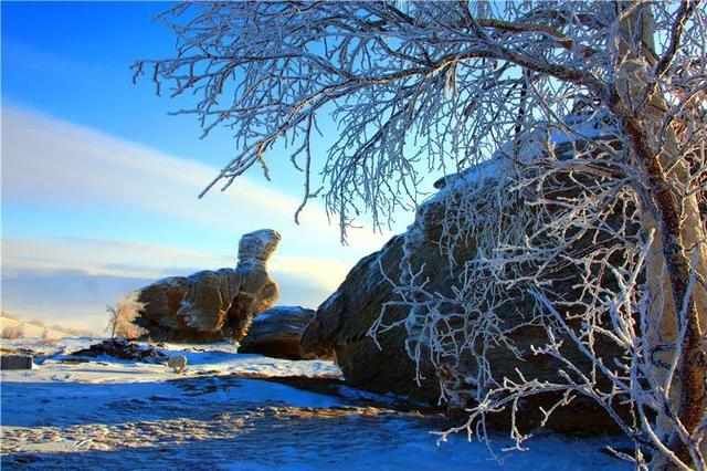 推荐｜凛冬已至，北境访雪