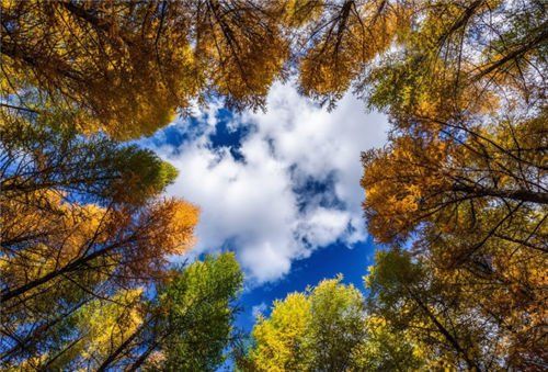 两千块也能玩出小众新天地?带你深度体验秋天最美神秘大草原