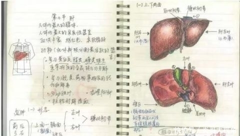  『借来』学霸的笔记原来长这样……网友：期末了我想借来复习！