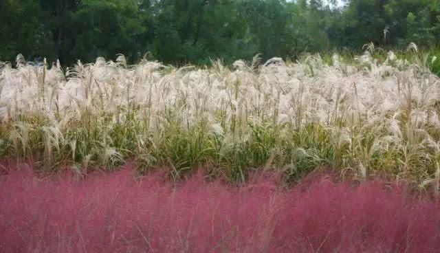  「重启」不能重启的2020，接下来的日子在天津要这样过！