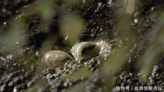 这部纪录片央视发力了，每一帧都可以当壁纸，BBC也无法超越