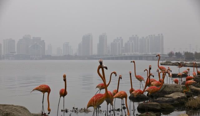 中国5A景区最多的一个省，三线城市都有6个5A景区，太牛了