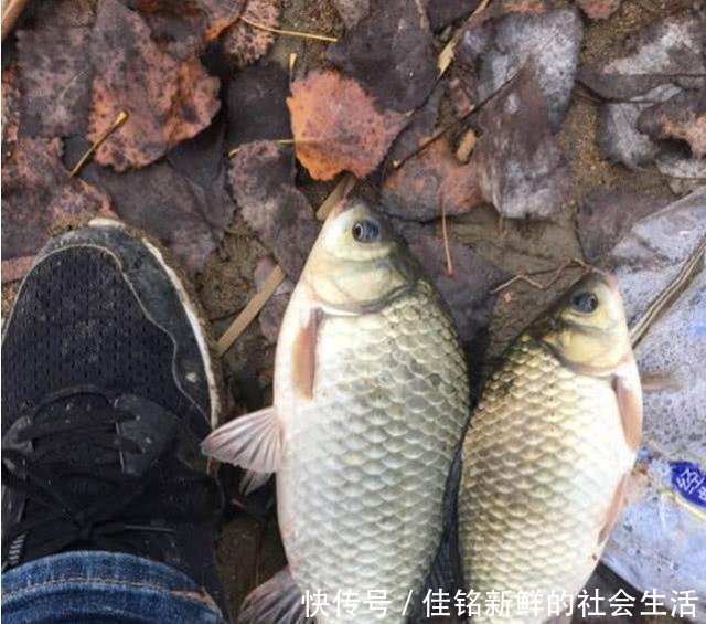  「春天」春天什么天气鱼口最好老钓友建议，选什么天气都别选大晴天