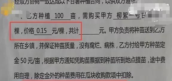  红薯：说好亩产5000斤“缩水”8成，每亩赔1000多元，农民怀疑是