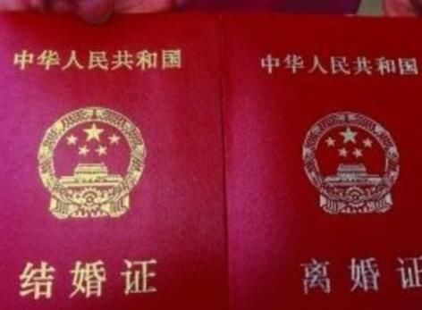 1小时内3对夫妻假离婚,得知真相后,网友:小心赔了夫人又折兵