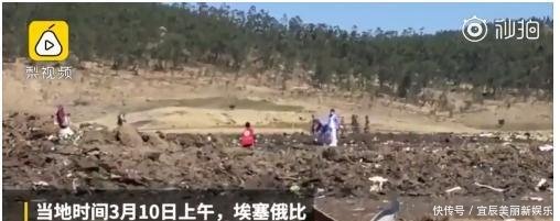 浙江女大学生埃航遇难，独生子女，父母悲痛欲绝