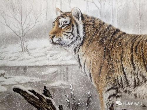 他笔下的这些细腻逼真的工笔画，让人叹为观止！