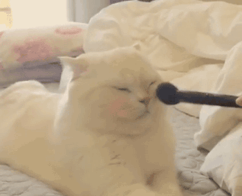 美人计｜不显毛孔不显黑，买腮红别错过这15块