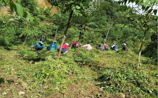  农民工回乡创业■由“打工潮”过渡到“创业潮” 过年返乡你会选