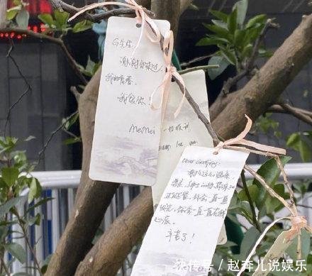 高以翔粉丝鲜花