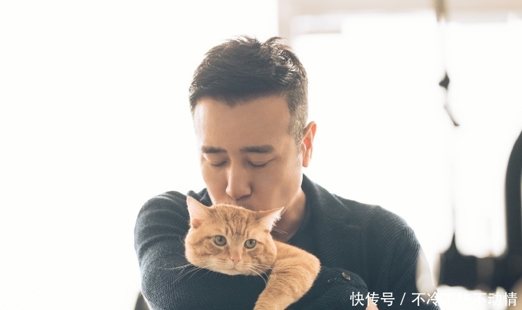 电影宠爱的票房现在是多少