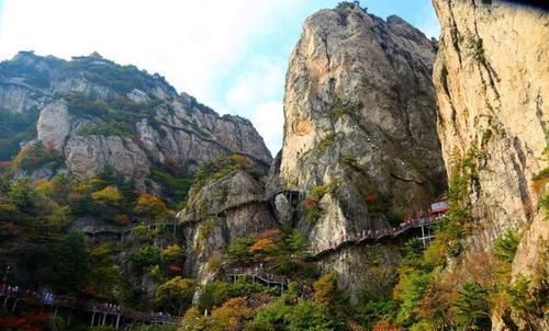 漫山红叶 美了老君山 醉了秋