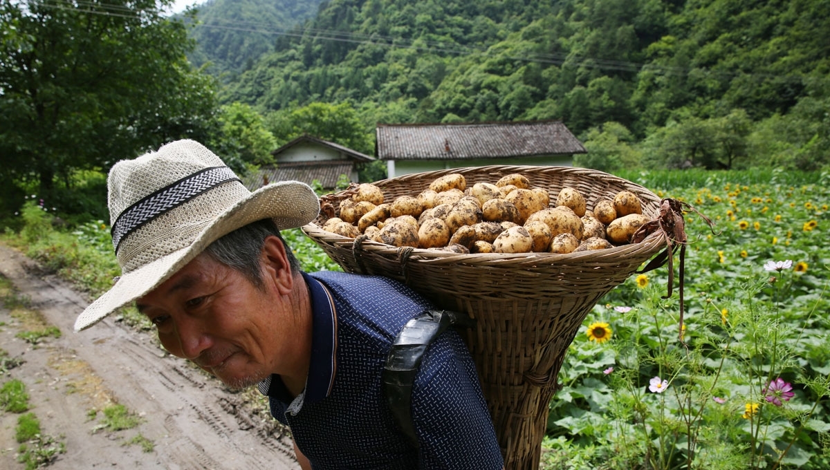 66岁老夫妻留守深山，陪86岁失明老妈，人勤物丰日子越过越好