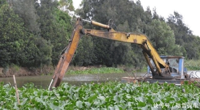  入侵@入侵中国的水葫芦，现在都消失去哪了？老外：中国人太聪明