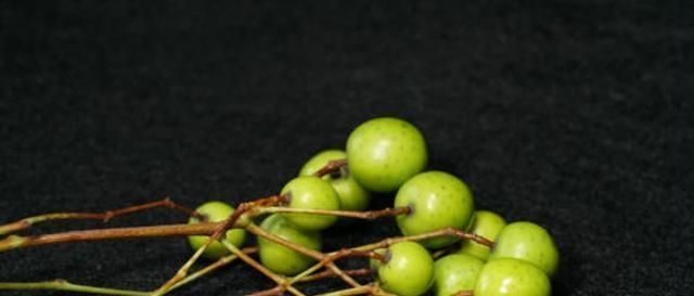  果实|楝树，原本农村很常见的一种乡土树种，为什么现在越来越少