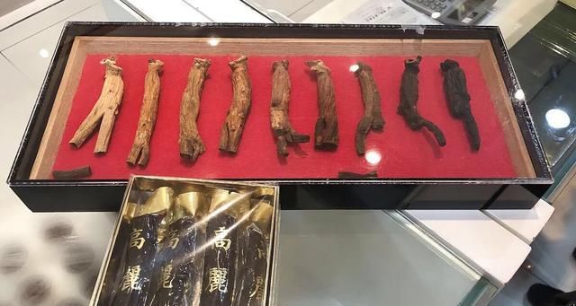  采来@农村山上有很多野地黄，为什么没人采来卖呢？