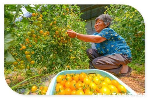  不外乎■农村靠什么赚钱呢？不外乎这几个行业，一定要选好项目