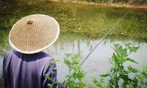  『穿过虚底』说实在，找底这事不要凑合，反向验证很重要！