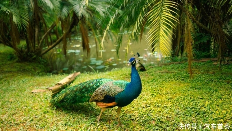 有一种旅行,叫冬天去云南