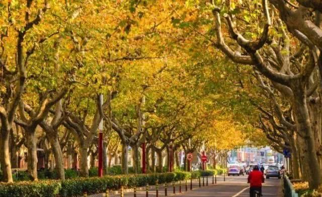 有些路，是一个人的旅行，这些地方适合一个人独享！