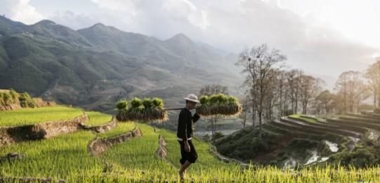  事件：一场500年前的生物入侵事件，竟让中国成为人口最多国家