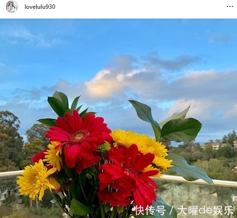 贾乃亮李小璐宣布