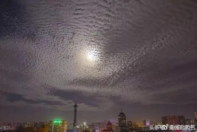 石家庄惊现“地震云”?网友吵翻了!真相竟是……