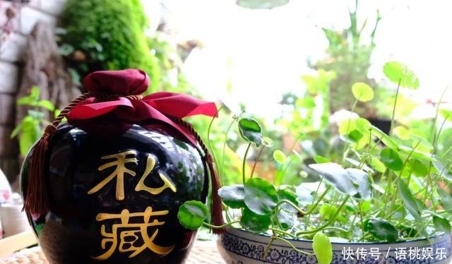 #喜欢#一粥一饭填饱肚子,一屋一花神仙日子!生命不止,玩趣不停!